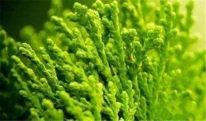 image009.jpg image009.jpg