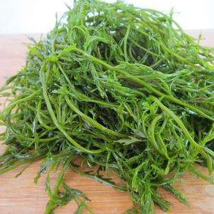 image007.jpg image007.jpg