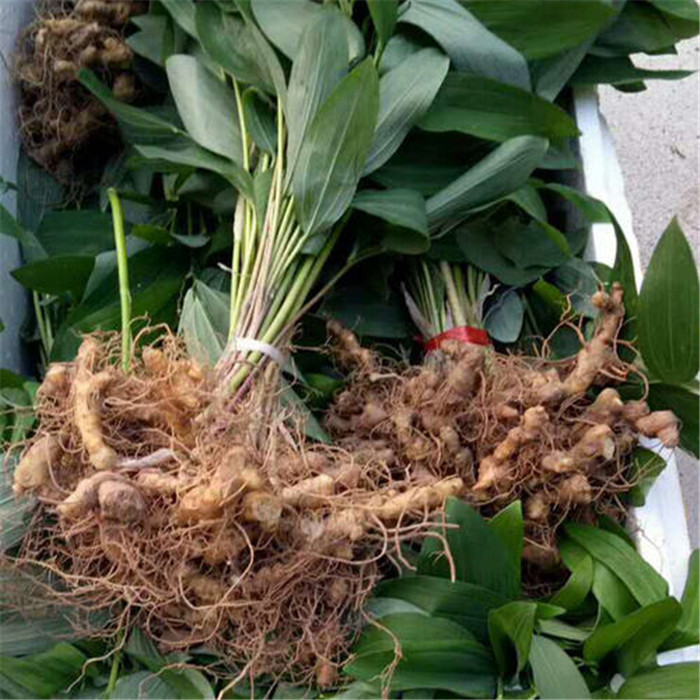 image007_副本1.jpg image007_副本1.jpg